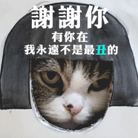 爆笑动态图感恩节,动态表情包来了第693期