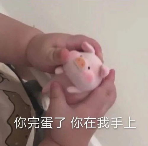 表情包生活无奈,但我得保持可爱