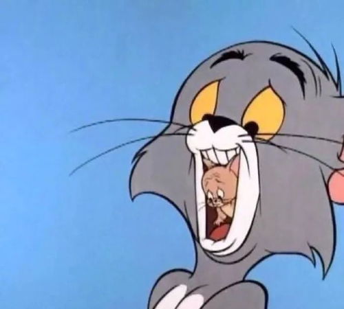 猫和老鼠表情包微信猫和老鼠