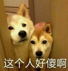 刚打好水准备洗车,男子中途上了个厕所,回头一看直接炸毛