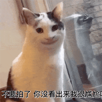 这可能是你考前最后一次提高写作的机会了