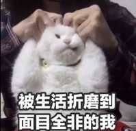 慕课网每周干货福利礼包第九棒