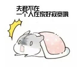 仓鼠球表情包系列夫君