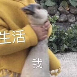 因为你,我乱了求助