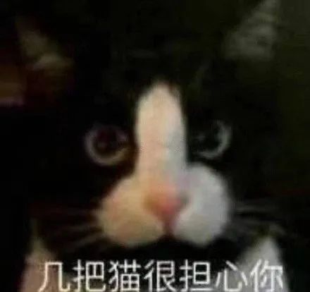 睡醒图片可爱表情包喵太