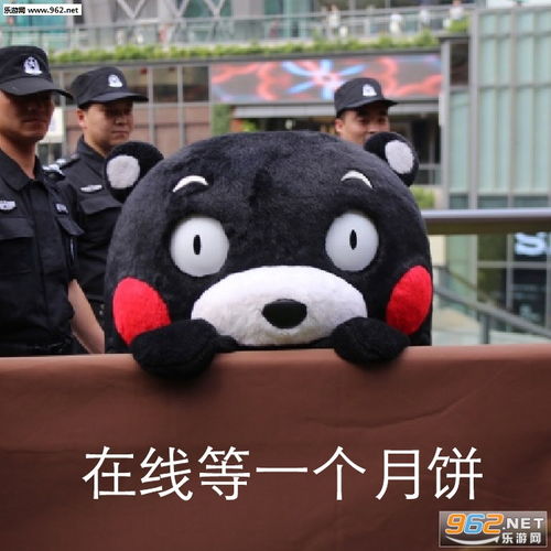 卑职明白卑职明白图片和我一起熬夜吧表情包下载乐游网游戏下载