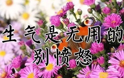 今天是9.29送你29张图29首歌29句话,太美了,快打开看看