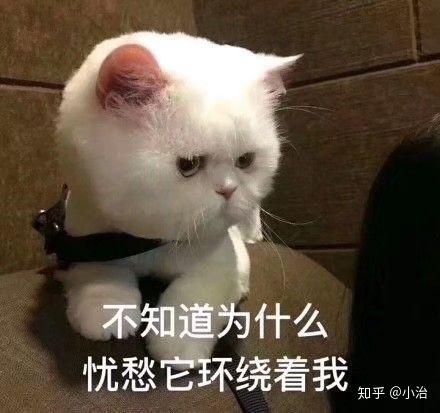 有没有好兄弟的表情包