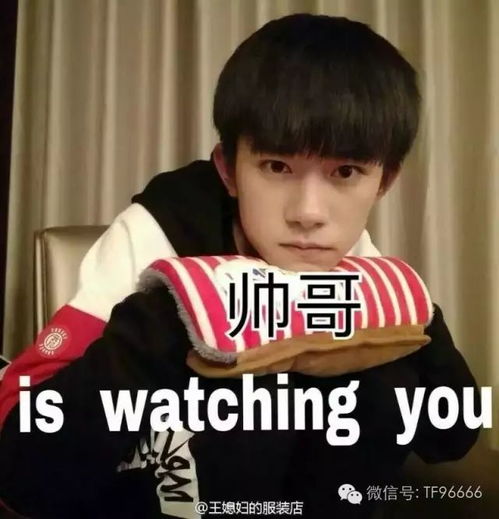 滚滚滚表情包图片易烊千玺