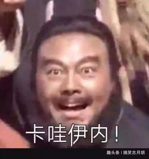 精神抖擞表情包熊猫眼新闻哥