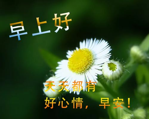 早上好问候图片带字动态表情,早上好图片问候祝福语句子