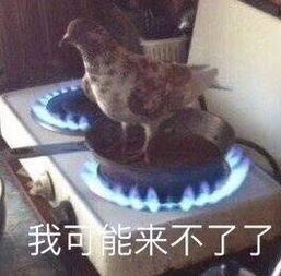 你真是五行欠打表情包一个矜持漂亮的女孩表情包图片下载乐游网游戏下载