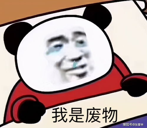 上了985名校却自嘲废物,到底是谁在pua当代青年