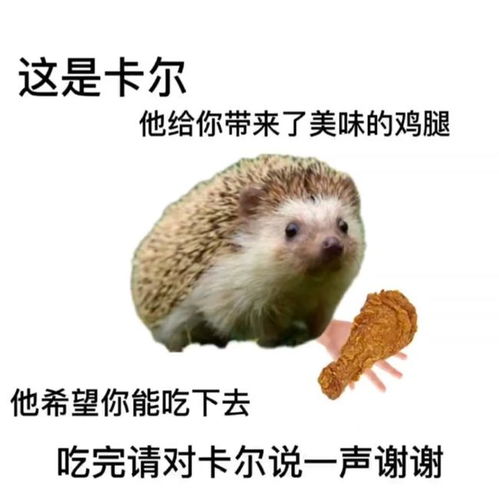 表情包快来说谢谢小刺猬卡尔