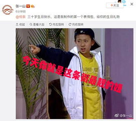 张一山做表情包为杨紫庆生杨紫回怼网友爆笑