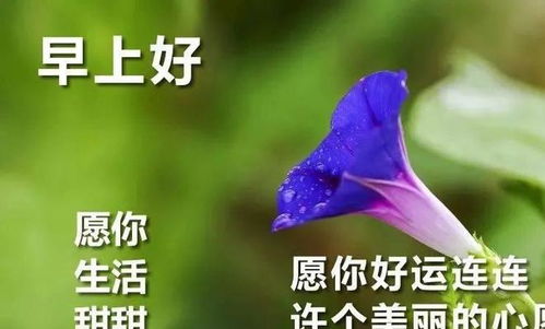 12月4日清晨早上好动态表情图片大全新版微信早上好表情动态图片