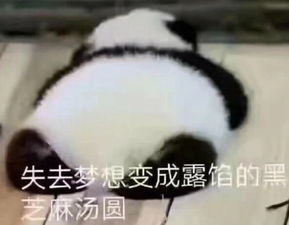 放过我吧,我不点拼多多也不盖楼