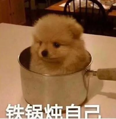 狗年表情包,这样聊天绝不会输33万龙南银赶紧保存