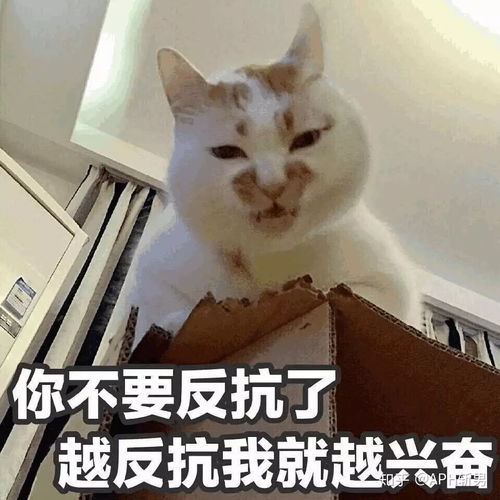 最强套路用约会搞定那个帅大叔
