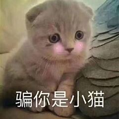 萧山人假期去这个地方要注意疫情暴发,已发现5万起病例,