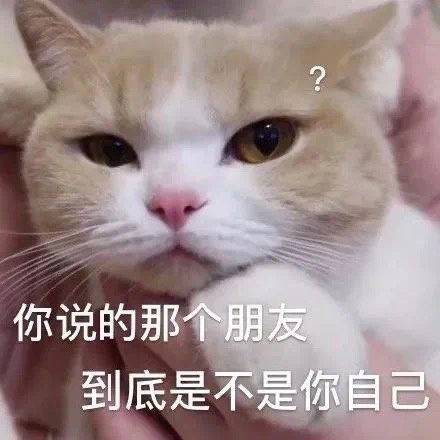 表情包你们根本就不懂光