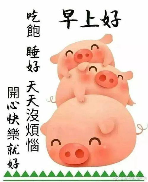 早安正能量语录说说图片,早安温馨祝福句子送大家