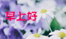 早上好表情包动态图片