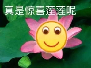 跟爸妈出去旅游是什么体验看完这20个回复我笑哭了