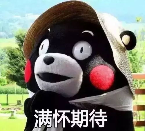 营山县黑山羊,承包你整个冬天的温暖