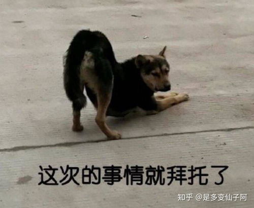 馋的表情包图片吃东西