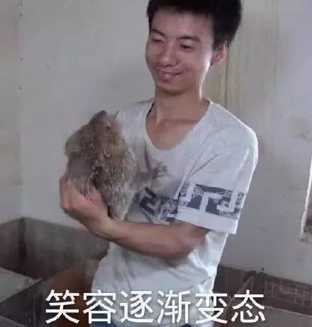 兄弟们记住了表情包主人