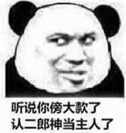 明人不说暗话,全网爆火的熊猫头怼人表情包,你收藏了几张
