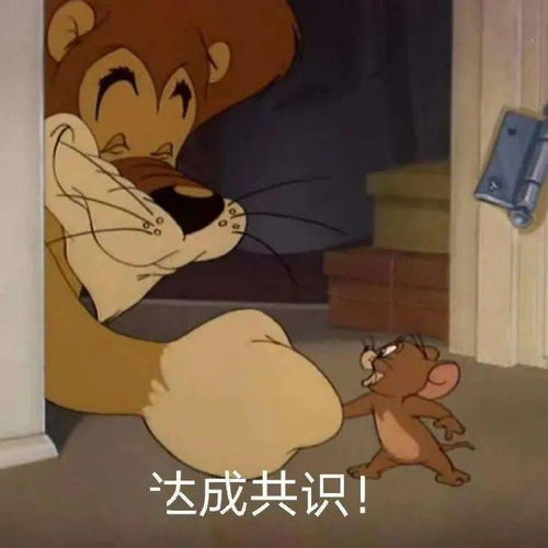 来一组沙雕表情包