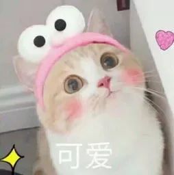 微商代购kol面临的跨境新挑战该如何解决