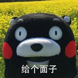 熊本熊安慰人表情包下载安慰人表情包熊本熊高清完整版下载