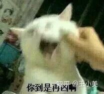 如何评价英雄联盟里的正义天使凯尔