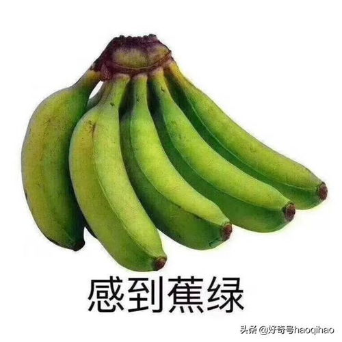 香蕉变黄了就是成熟了你一直在吃生香蕉