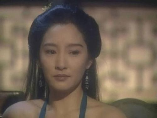天龙八部有一个亮点,朱珠演马夫人很成功,与钟丽缇不同味道