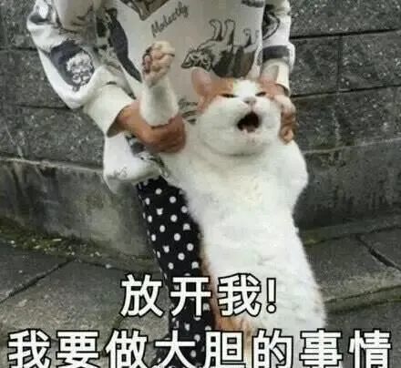 仙女下凡啦表情包亲生