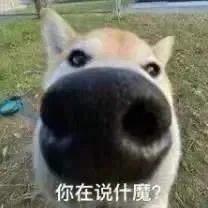 可爱斗图表情包真的没有生气啦