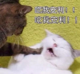 omg玩美咖超实用的吃货技能,快点击下方领取李纯小姐姐的美牙大秘方哦