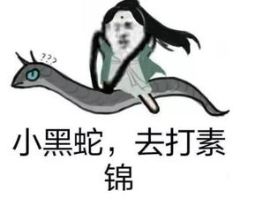 关心安慰表情包鹦鹉螺市集