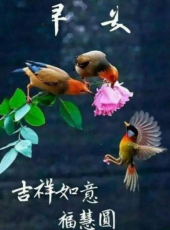 2021新版早上好祝福问候语动画动图,早安问候祝福语短信