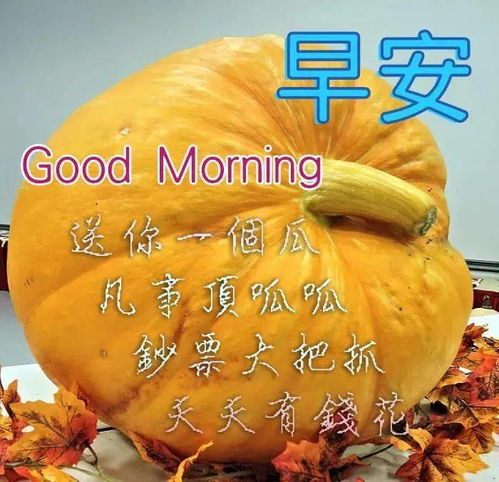 特别好看的早上好朋友可爱动态表情图片早安祝福问候语语录句子