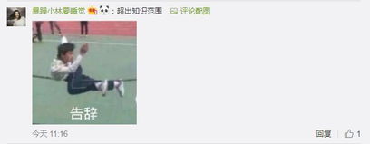 情侣之间发什么表情包网友快马住,万一有对象了呢