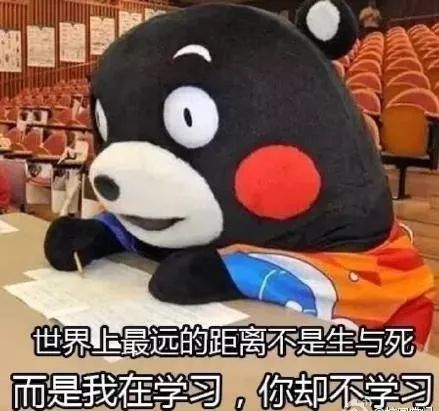 一大波暑期表情包来袭,哪一个更适合你斗图走起来