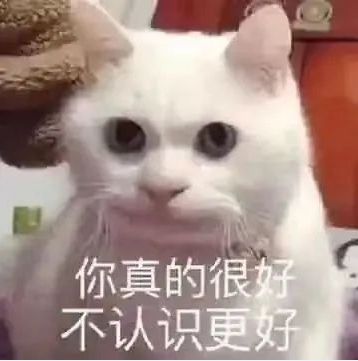 女主播酒吧蹦迪热舞被抓拍,回应视频称已进行多次投诉