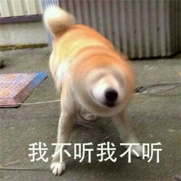 关于女朋友生气表情包带字你那么好看不要生气