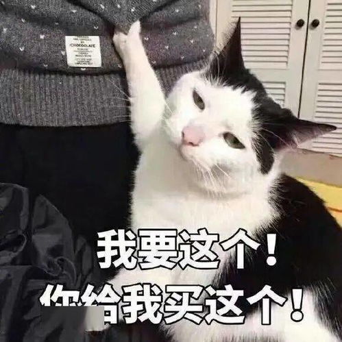 陈萌萌沙雕表情包