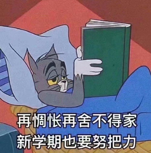 沉迷于赚钱表情包中小学
